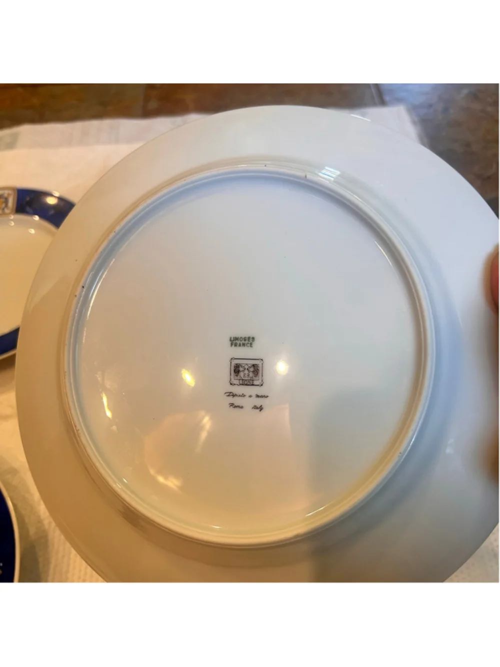 Haviland Limoges France Hand-Painted Dinnerware Set 4 Signed Leone Embossed